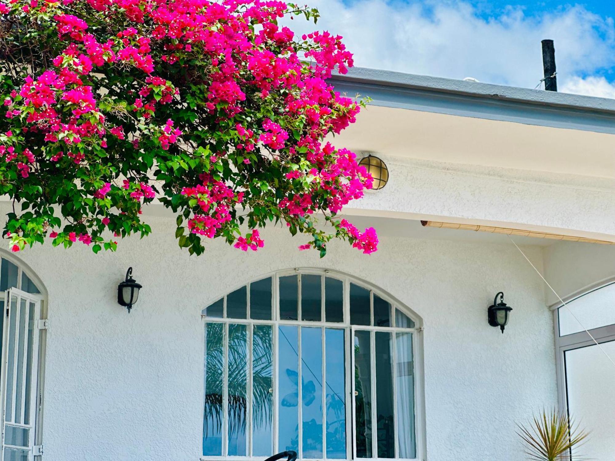 Lavender Hotel Le Morne Exterior photo